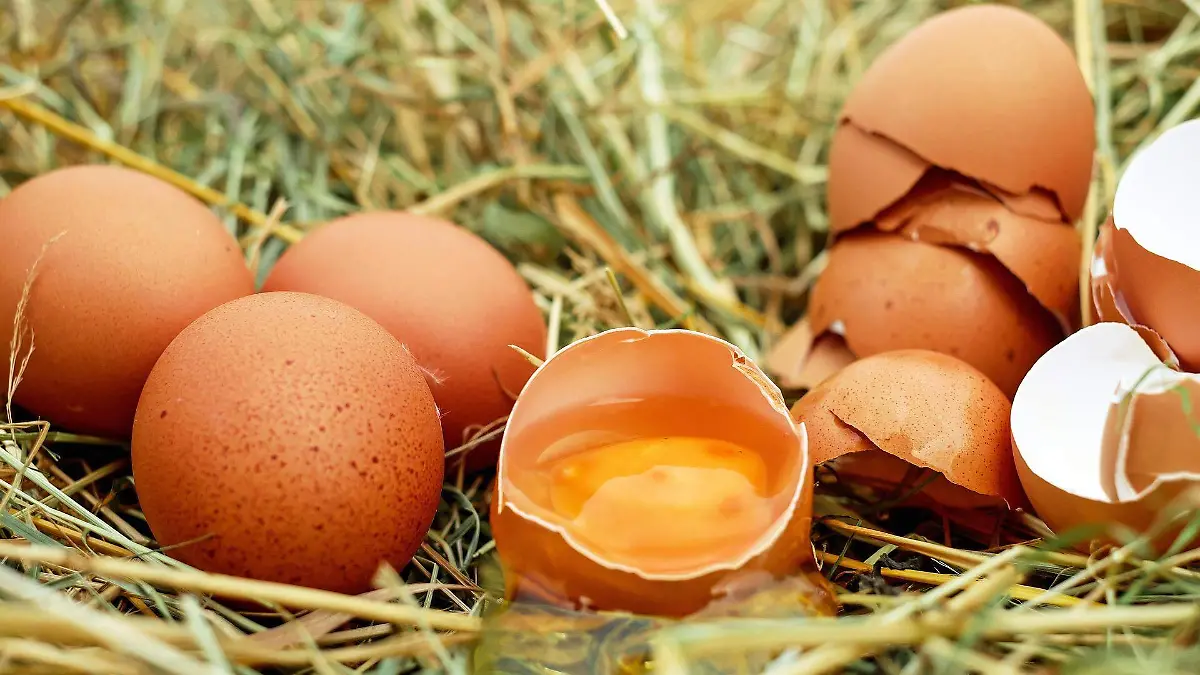 couleur-eggs-1510449_1920