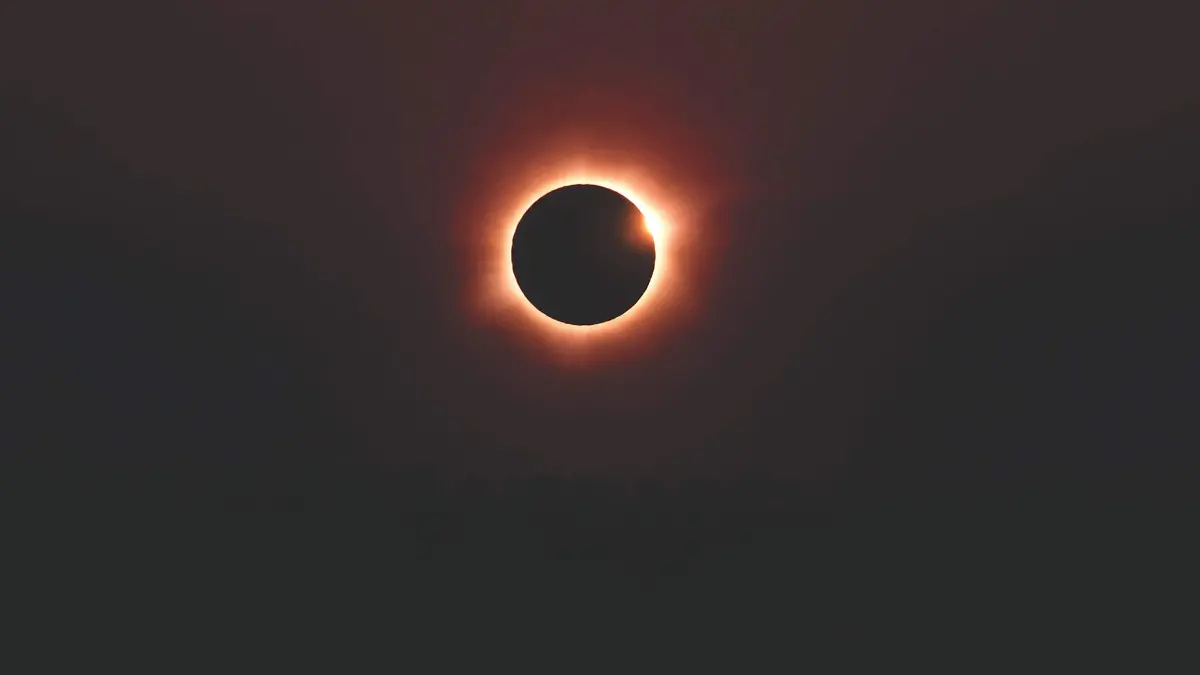 pexels-gleive-37045046