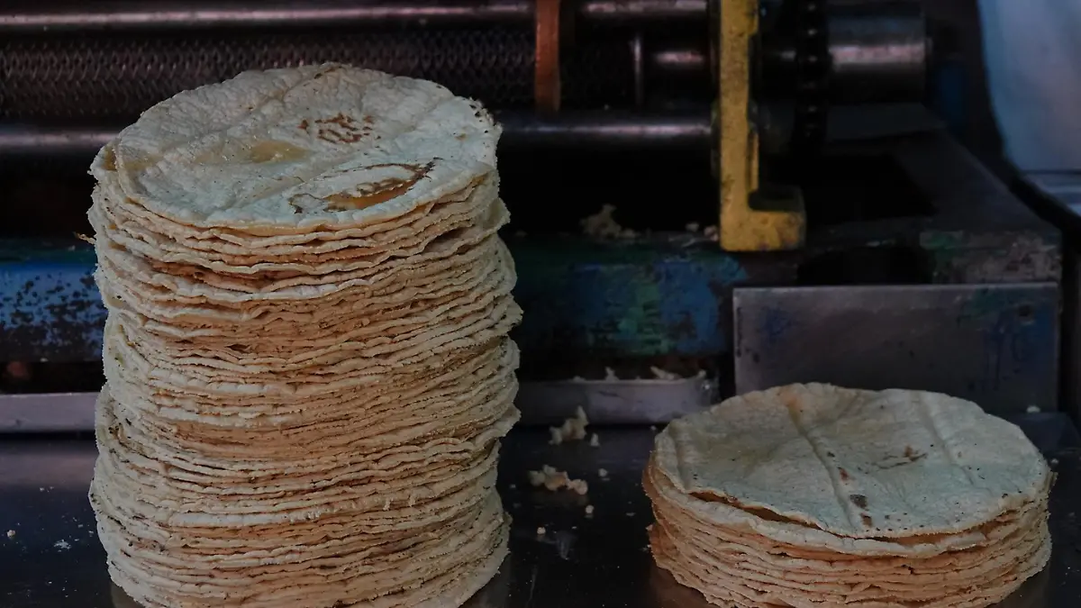 Tortillas de maíz