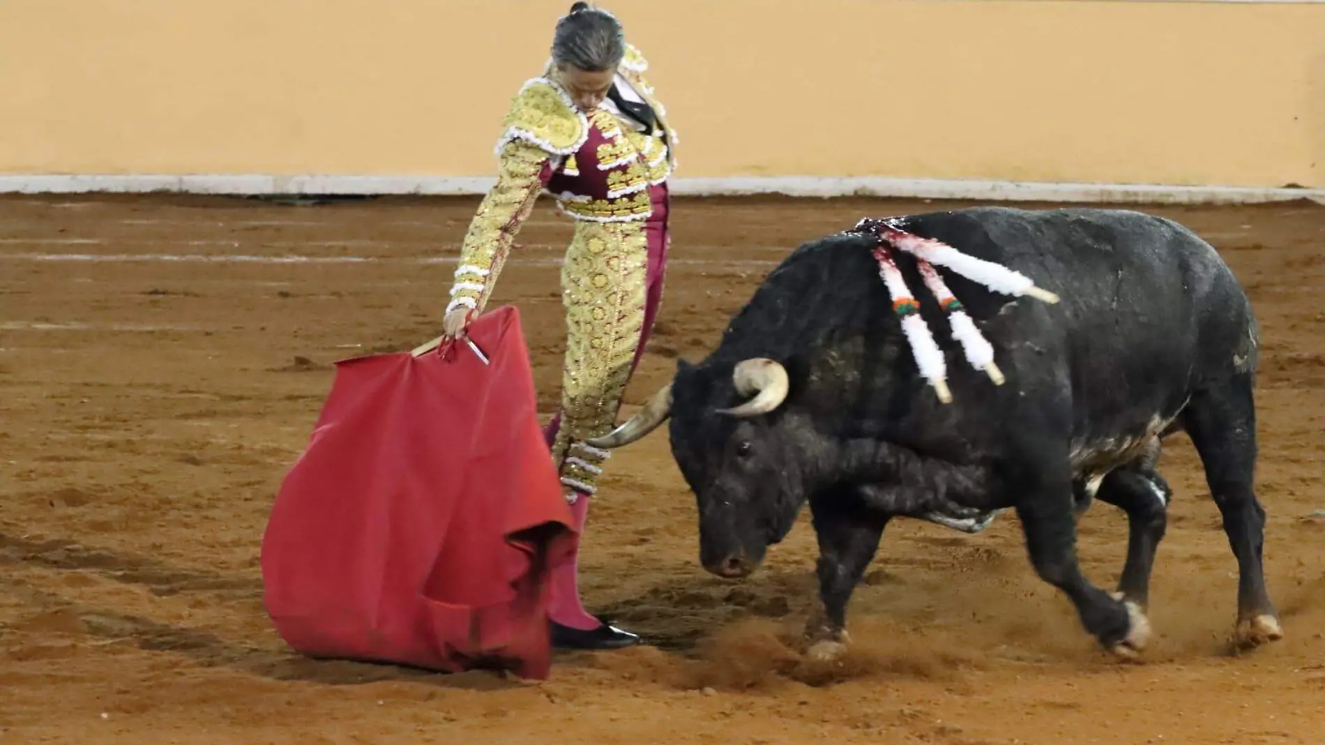 torosjuriquilla