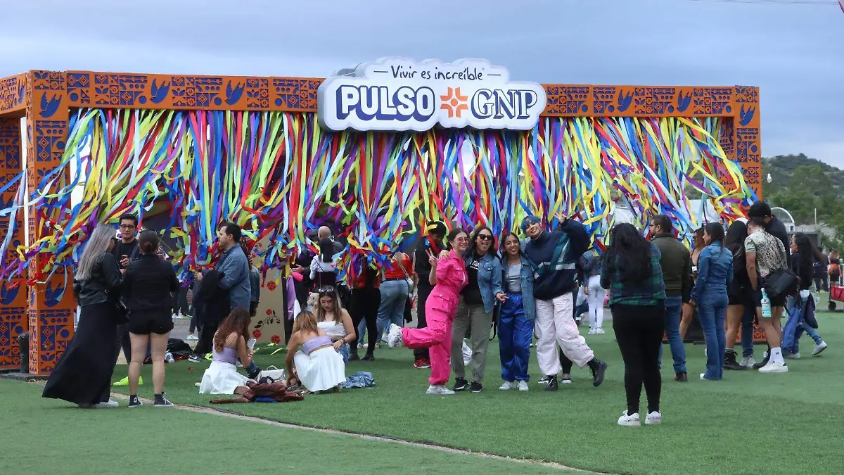 Pulso GNP 2