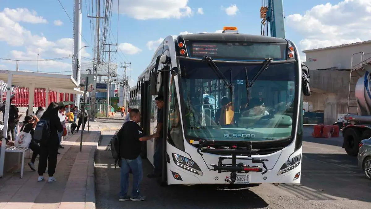 qrobus1