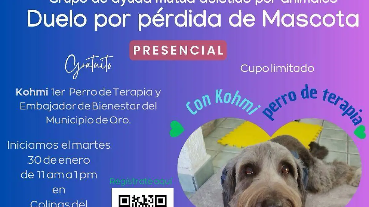 Duelo mascotas 3
