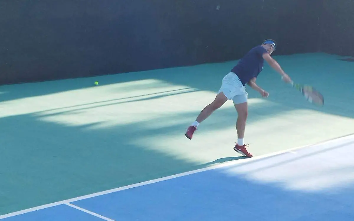 Tenis