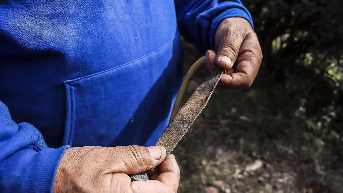 240128_ LA MIRADA LA RESORTERA DEL PODER_MC_3