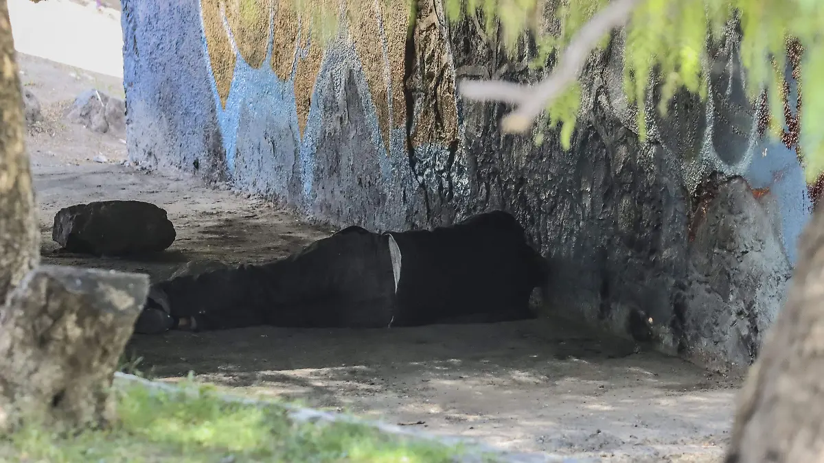 240831_PERSONAS QUE HABITAN_RIO UNIVERSIDAD_MC_7