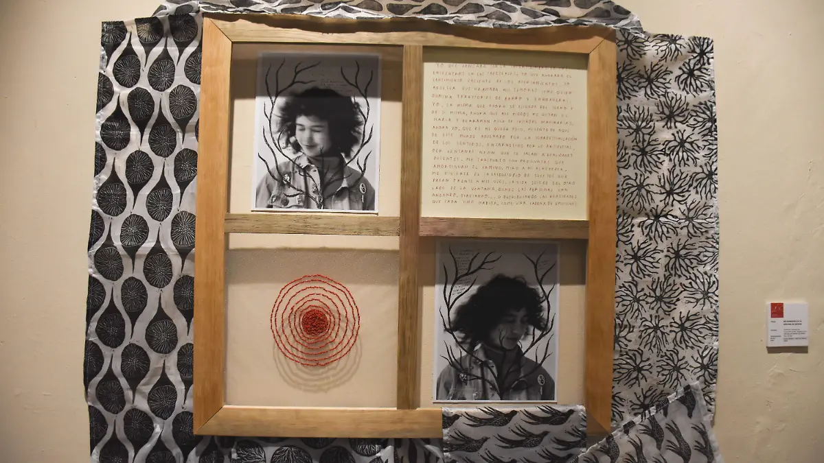 GO_EXPLORAACIONES VISUALES_2