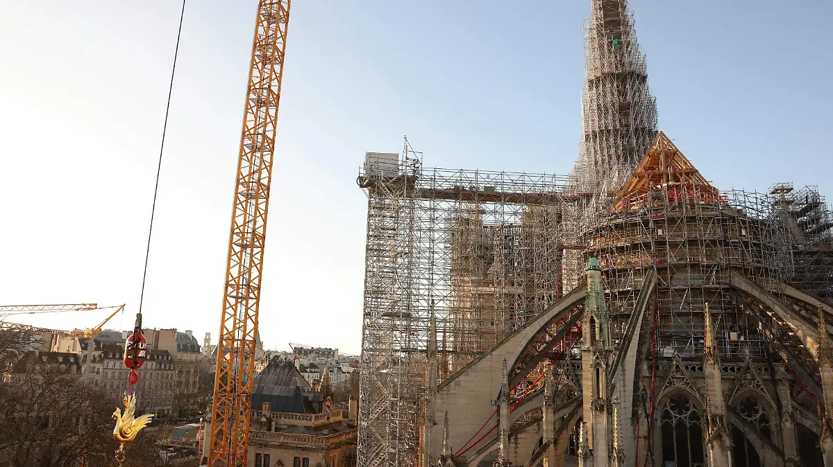 notredame12