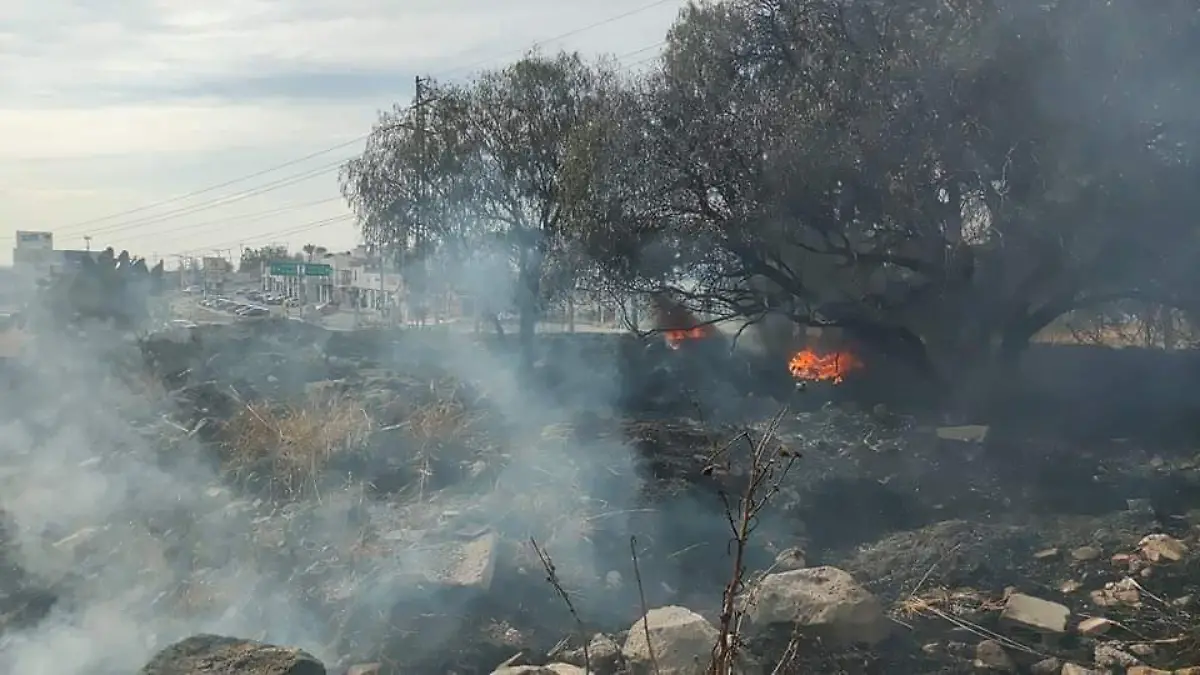 loteincendio1