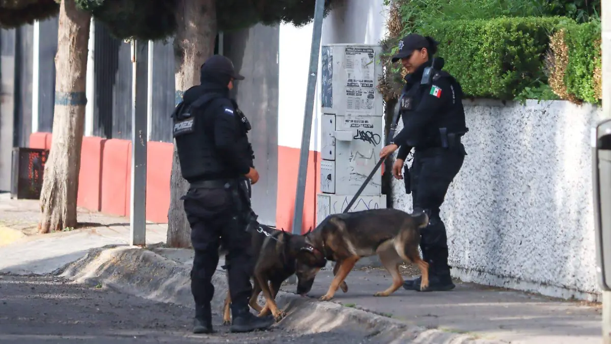 detenidosmp