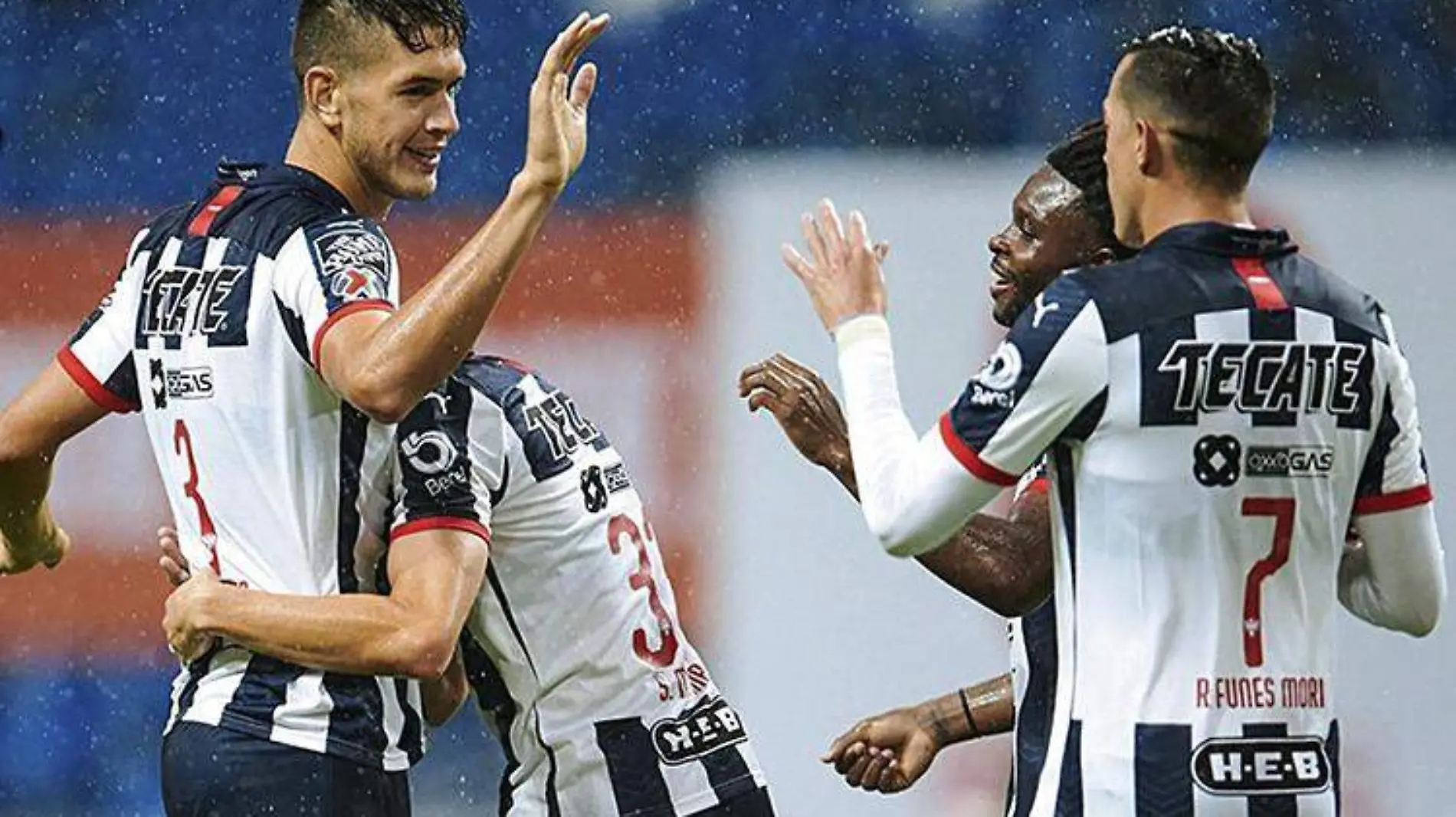 rayados