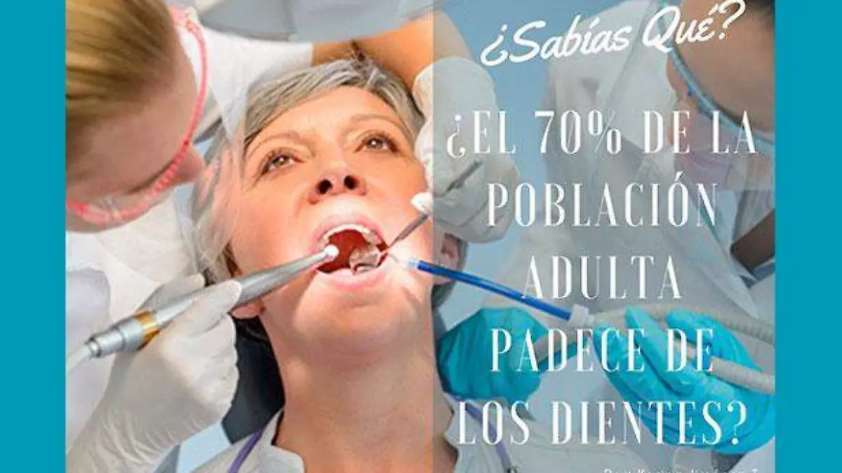 dientes-adultos