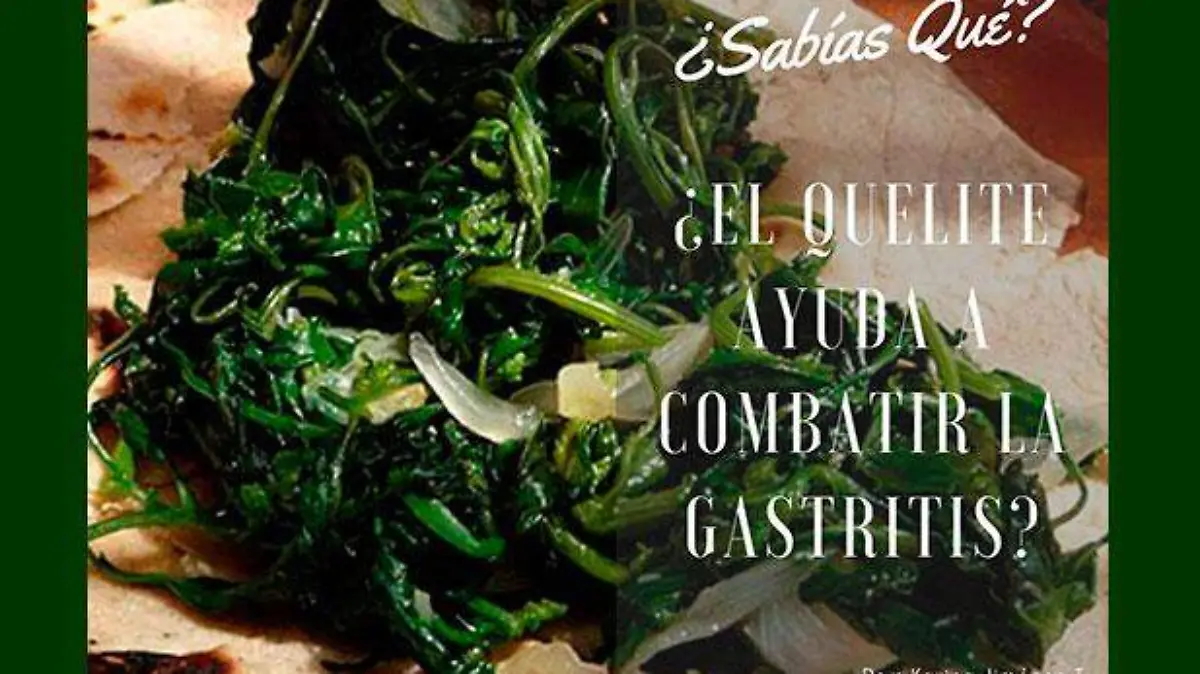 quelites-contra-gastritis