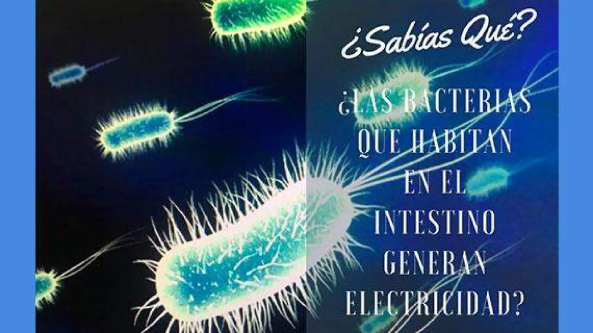 bacterias-producen-electricidad