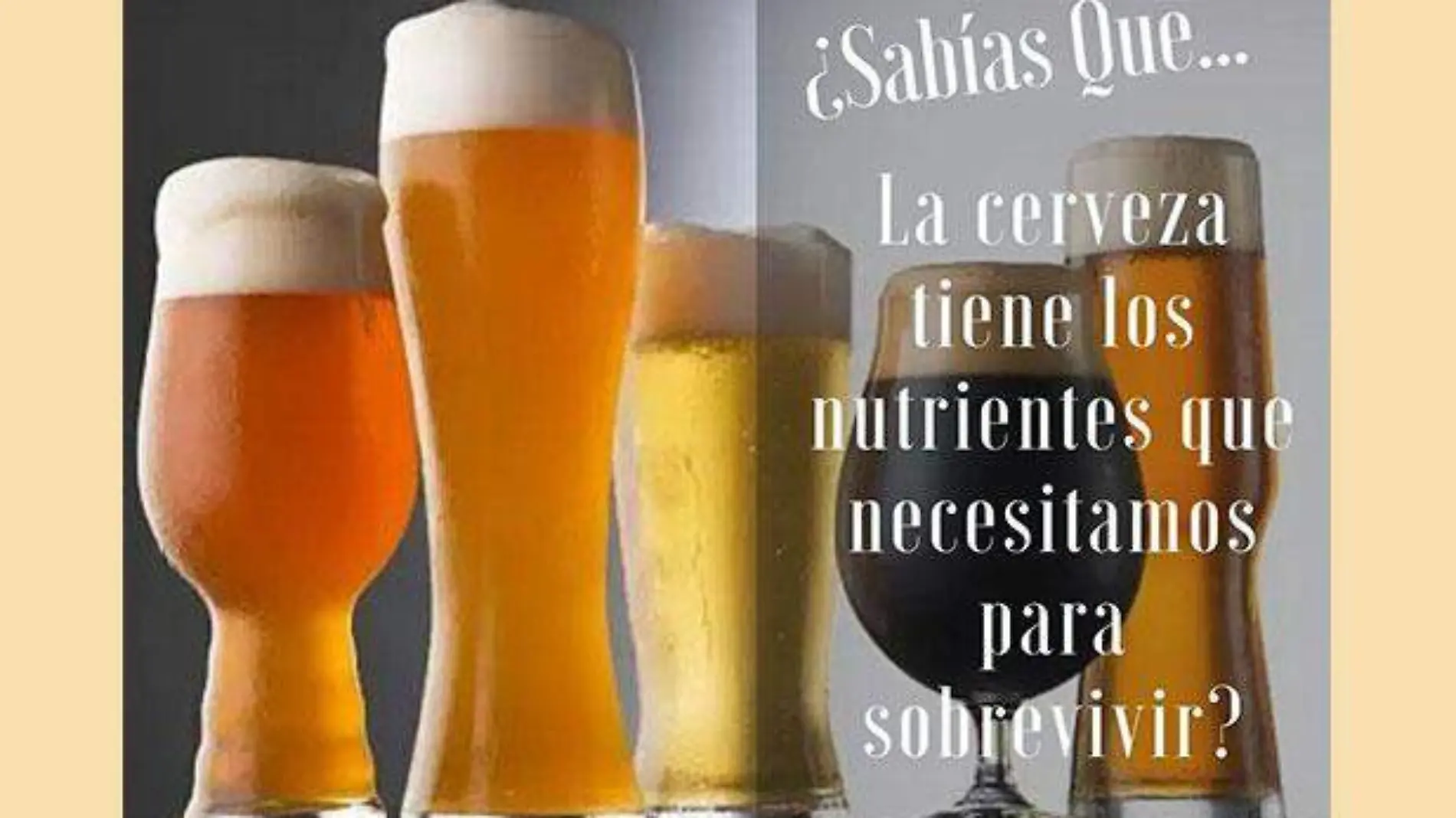 cerveza-ok