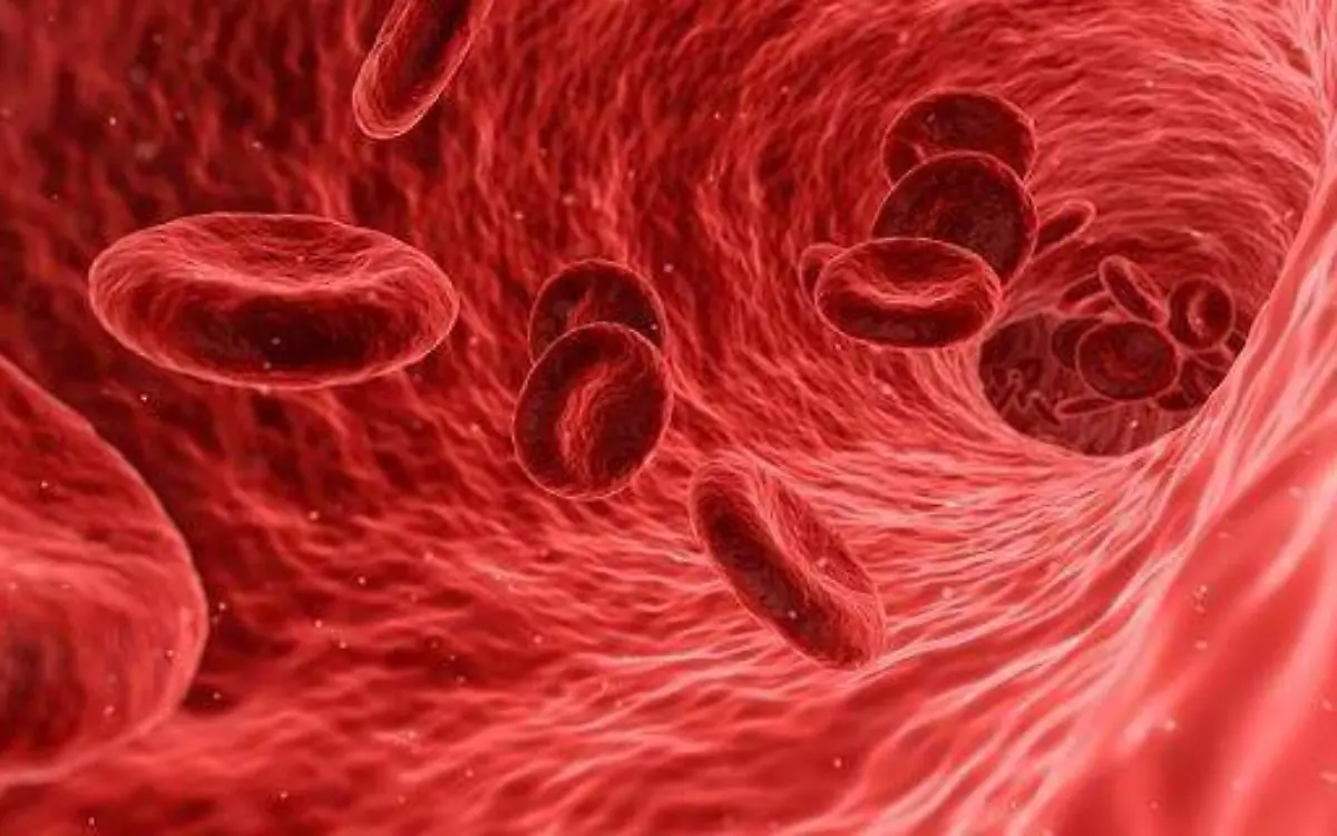 Niveles de vitamina D en la sangre