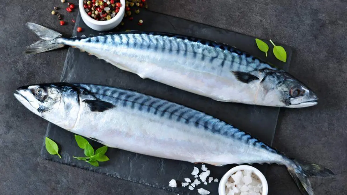 Percado azul-Web