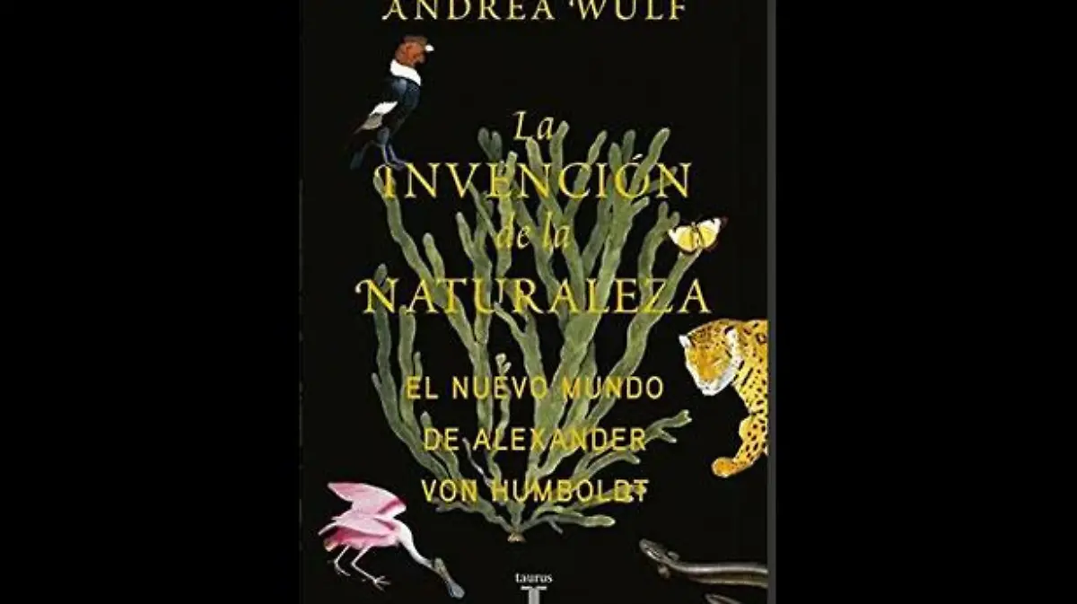 libro-de-andrea