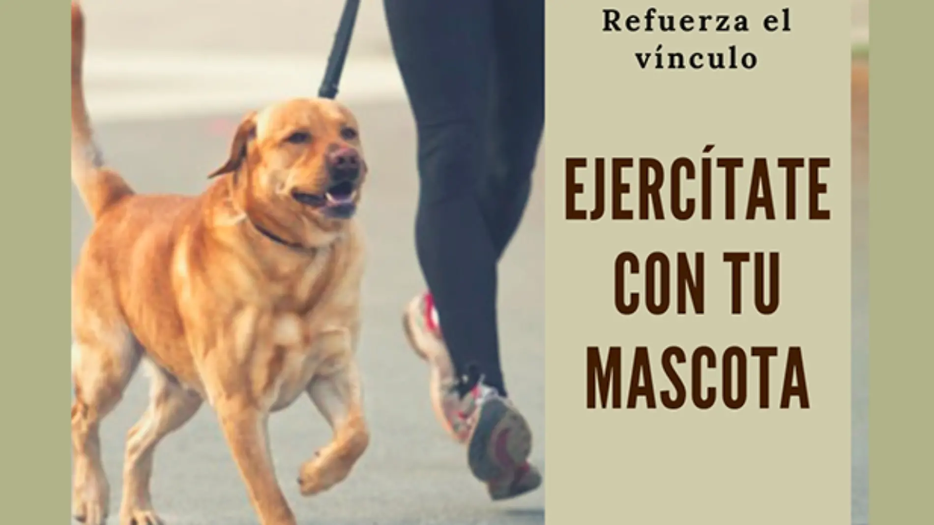 ejercitate-con-tu-mascota