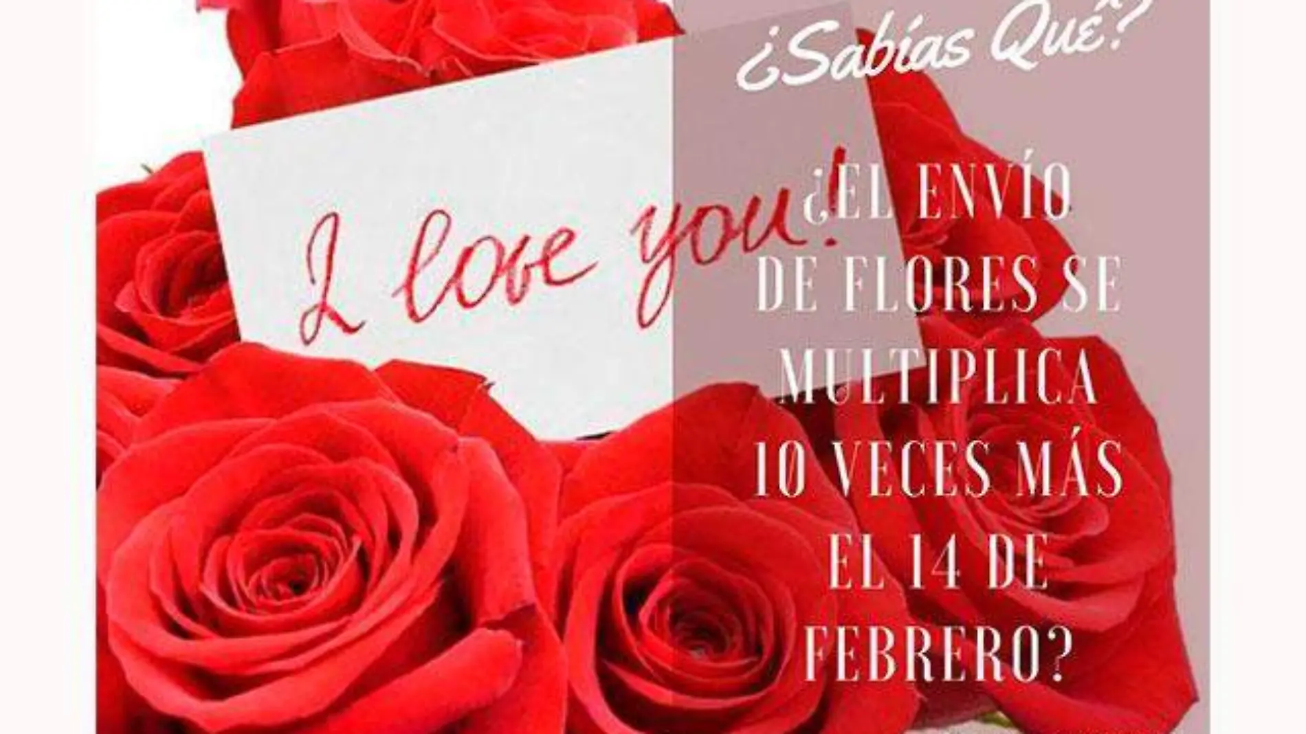 Flores-14-febrero