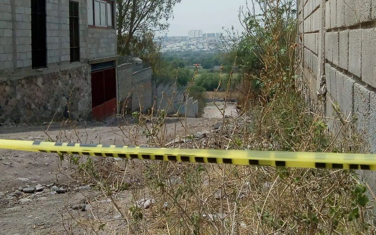 deb5d5fb-f2ec-4c00-8c83-882424a2117b