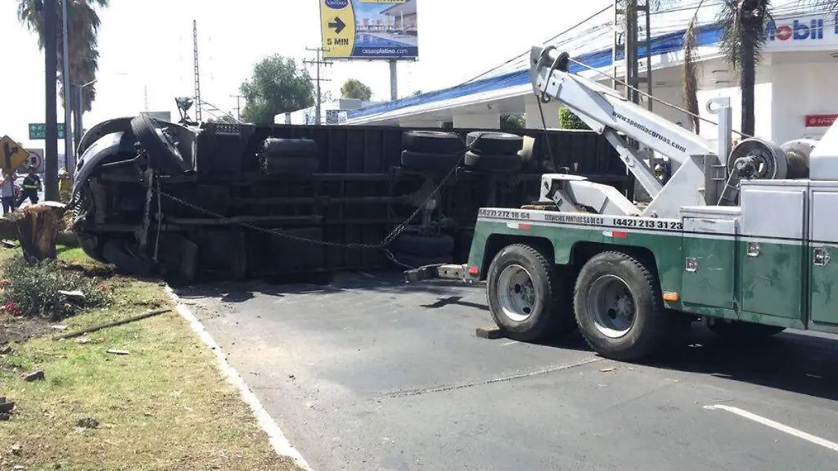 4241deaf-f80d-478a-8167-dfb7f1b8c229