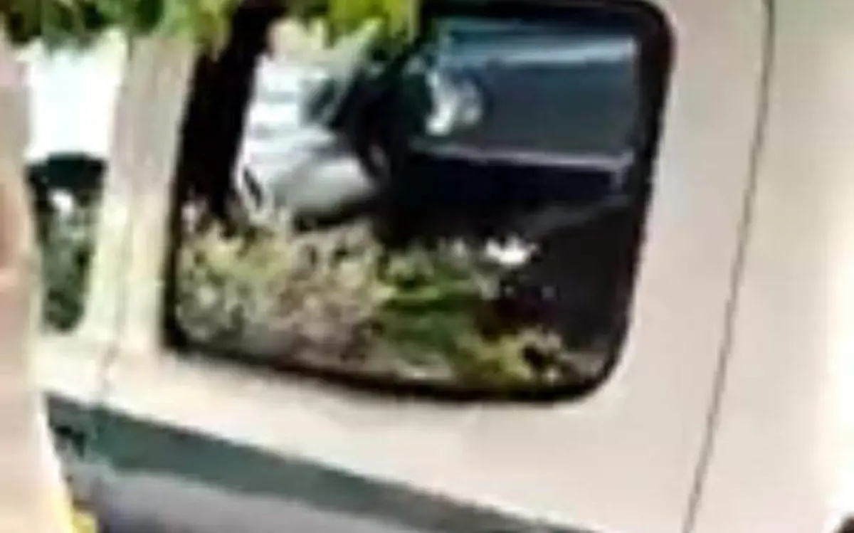 29692dd7-f8cc-40a2-9223-896b22d0cae2