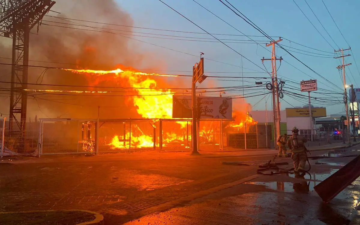 b57e2f18-e0b5-4ae5-ad54-ad89bbe8b230