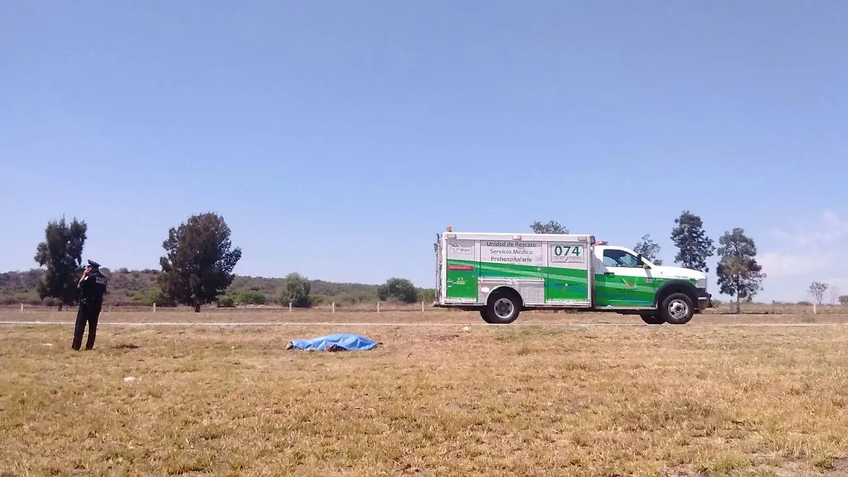 WhatsApp Image 2017-04-05 at 12.11