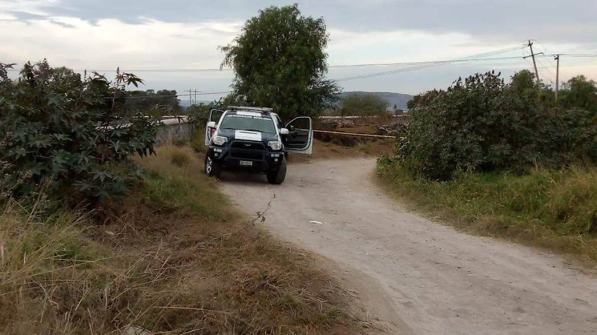 3153ea14-6b07-4d9a-b0b0-1e4b1d4b692e