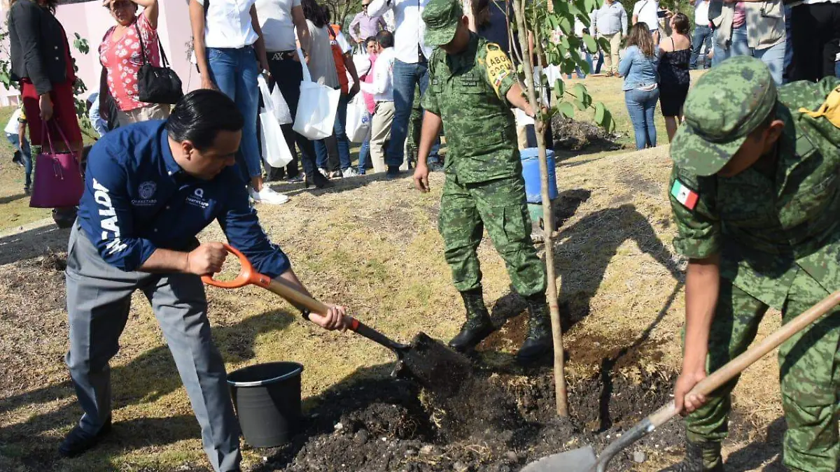 9810f28e-9ad7-4159-9a6c-8e780ec2115a