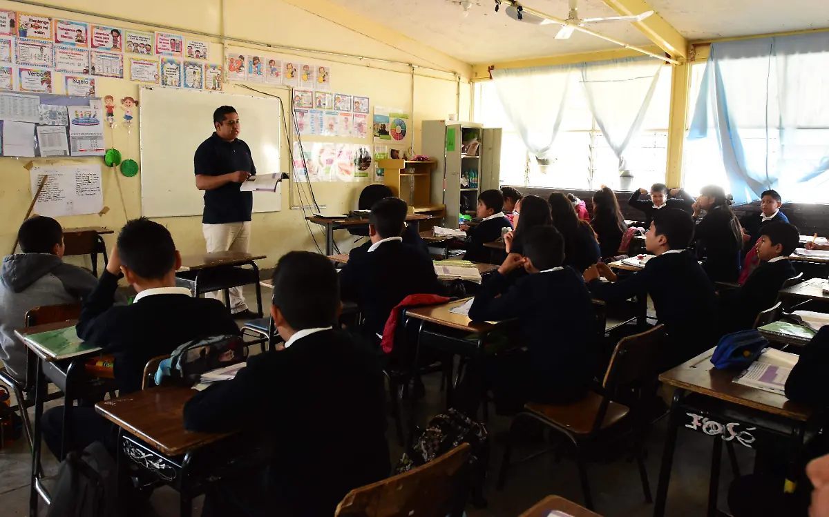 DOCENTES
