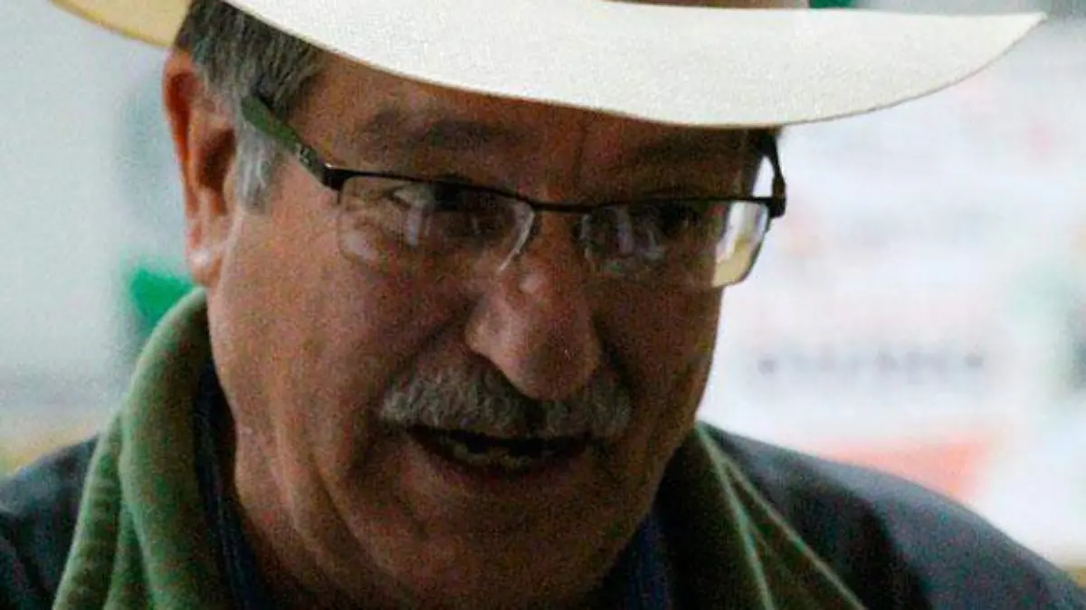 Ovinos