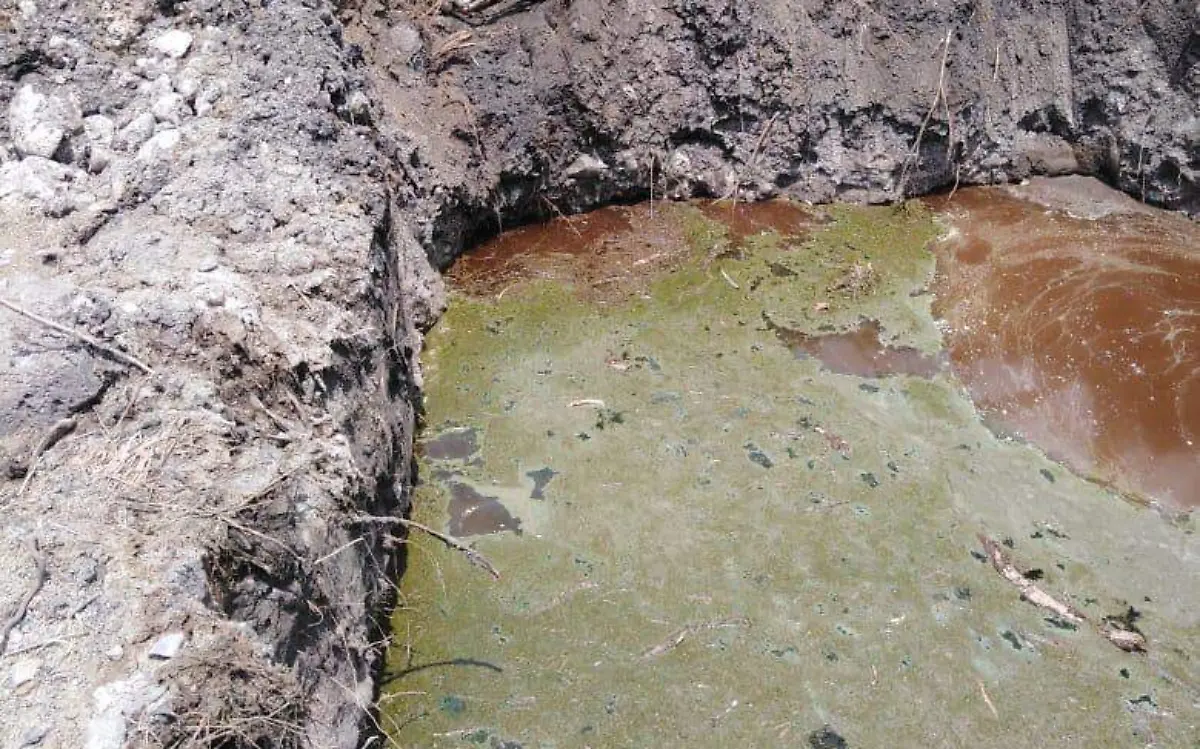 64b21208-5126-4a25-823c-928726c8f0af