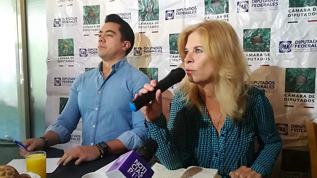 LOS DIPUTADOS DEL PAN