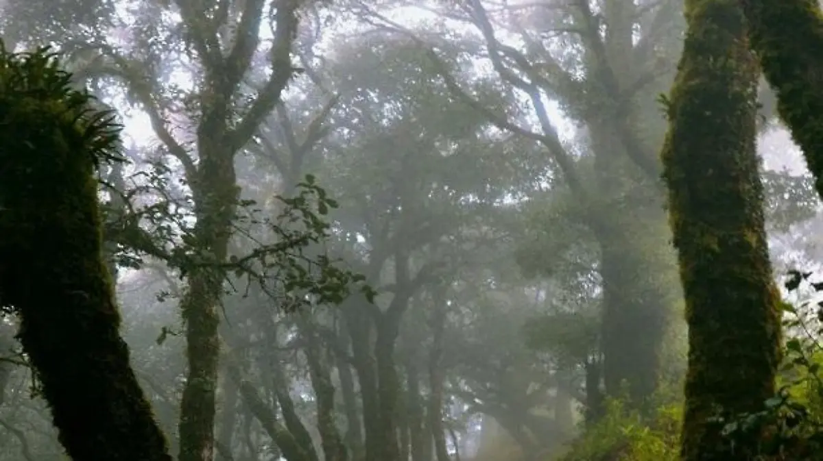 7831df0e-462e-490e-9e50-affc554c1ddc