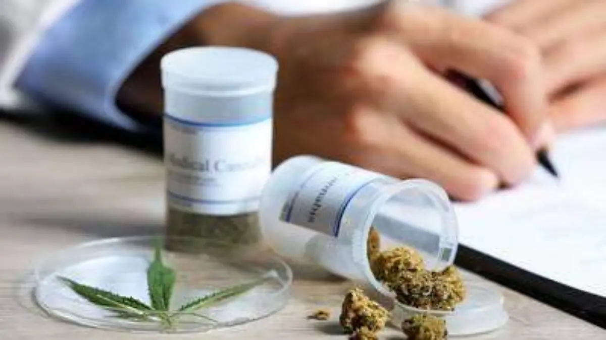 cannabis-ninos