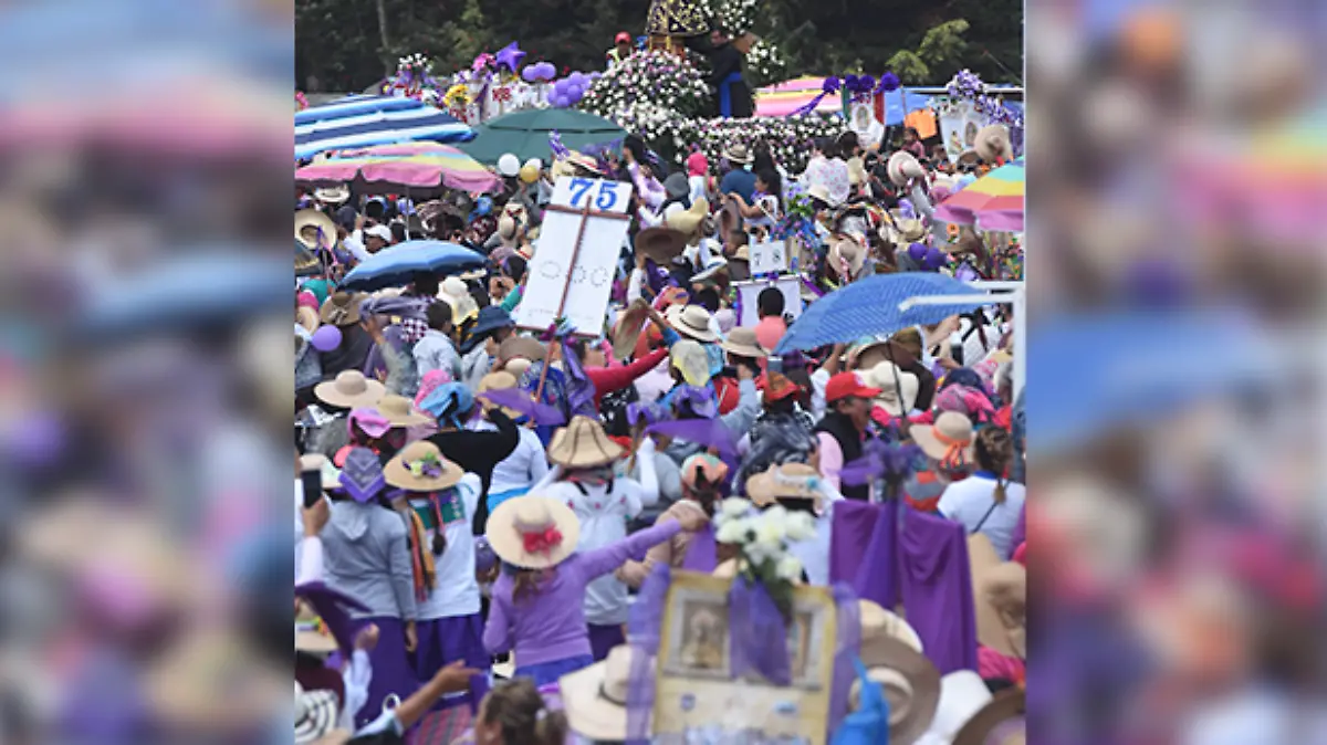 Multitudinaria