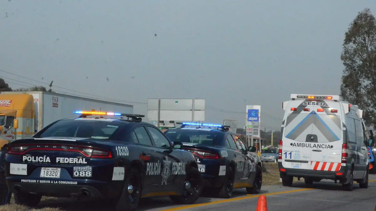 POLICIA FEDERAL