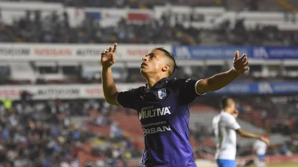 MV_GALLOS VS