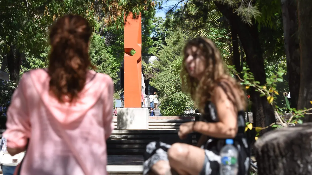LAS UNIVERSIDADES