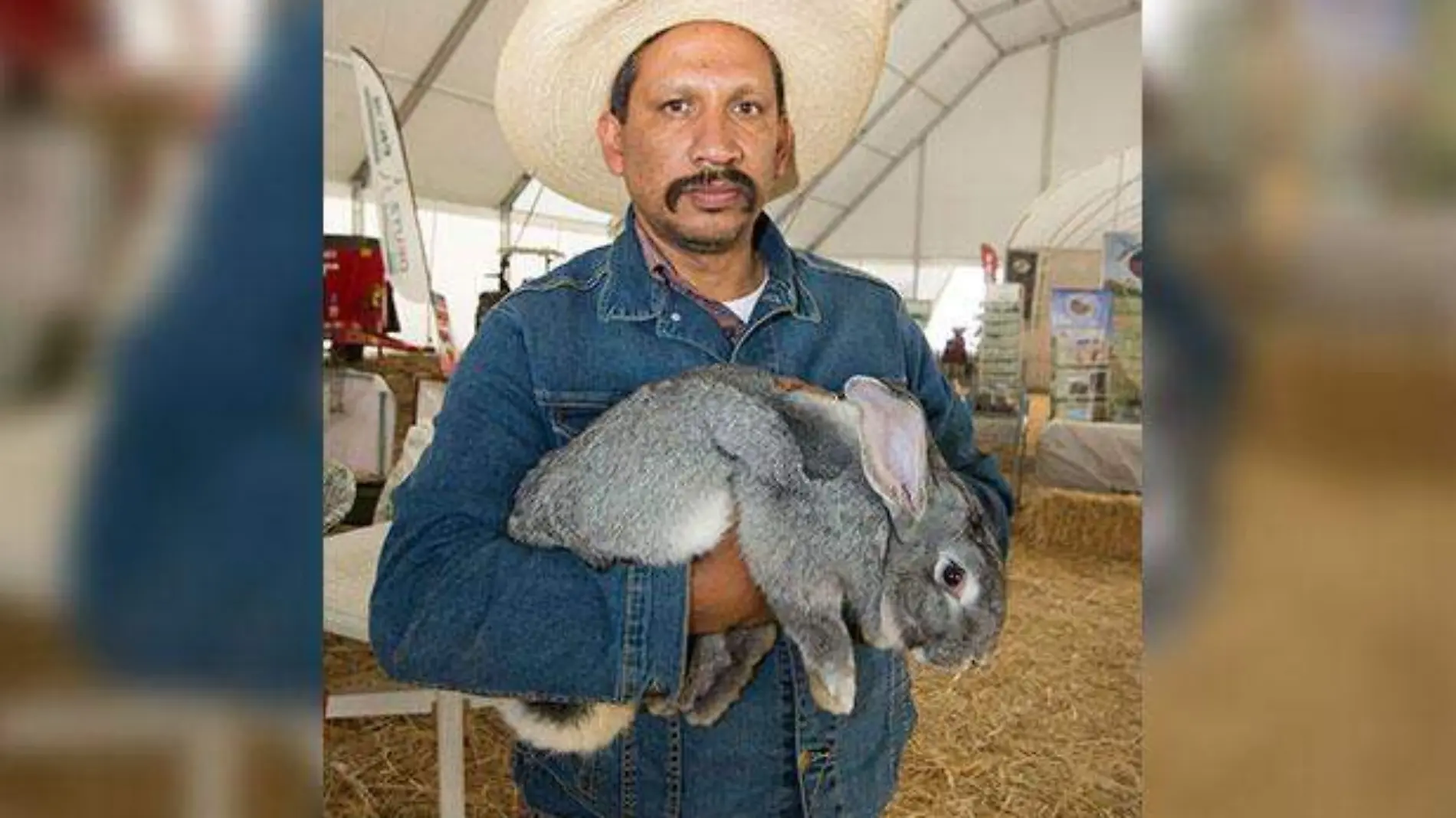 Conejos-Feria-Ganadera