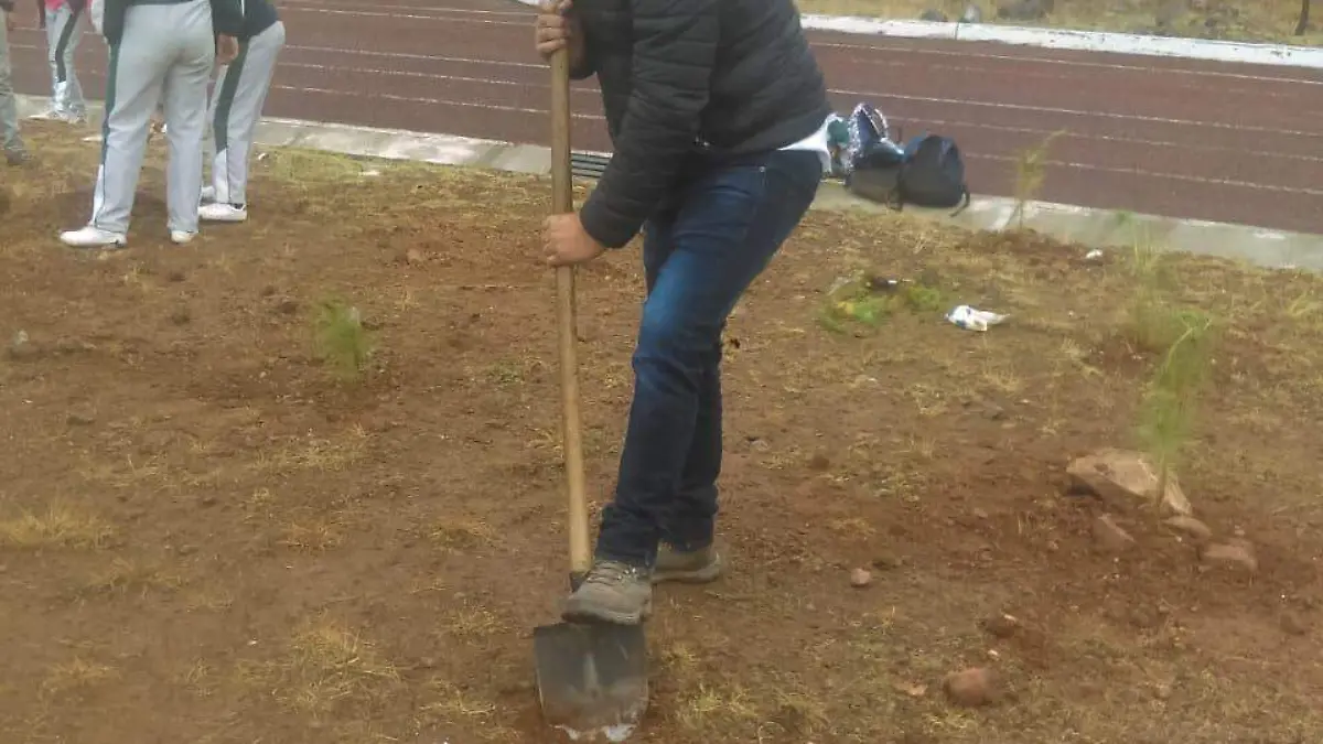 3771717a-079c-4daf-b1eb-cb89781855c1