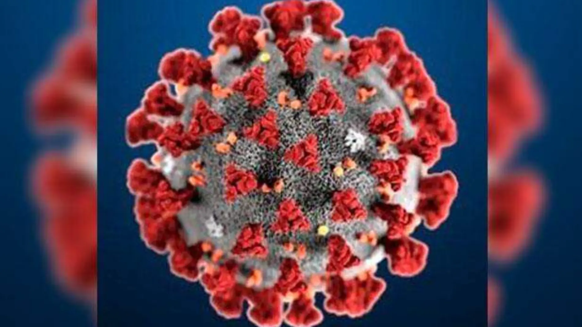 Coronavirus-8