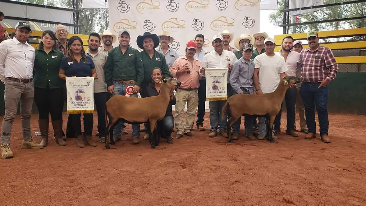 Animales del Rancho Amazcala ganan premios en la Expo Ganadera de Tepatitlán, Jalisco2