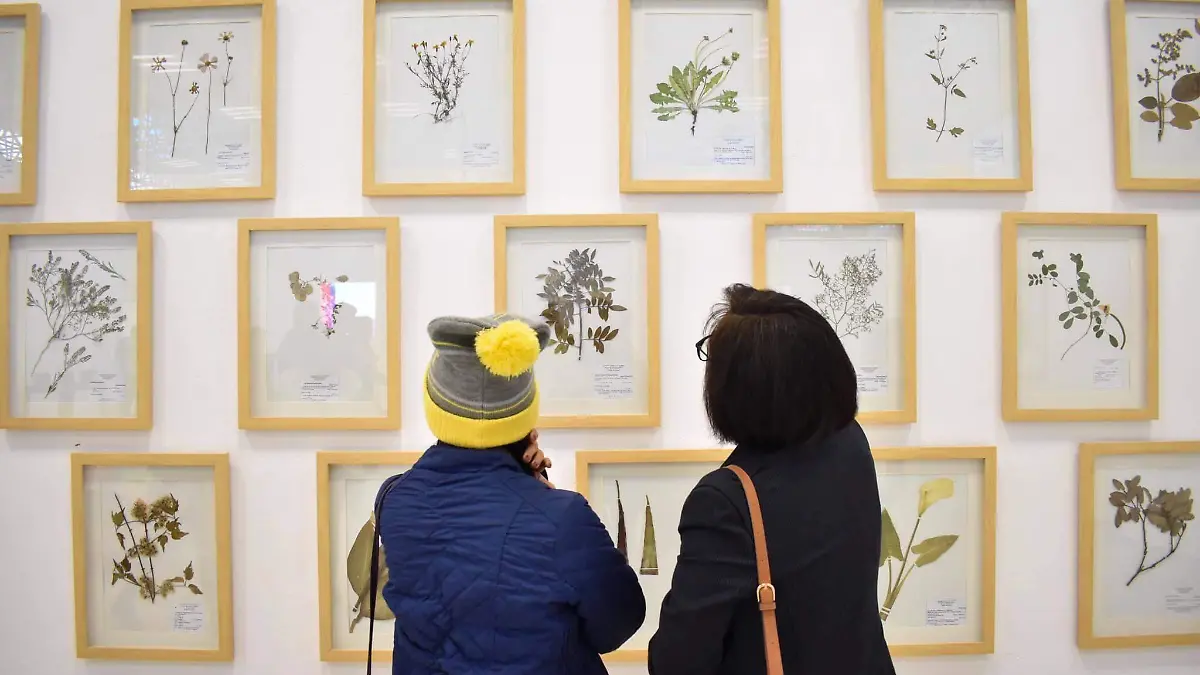 65319744_10156360107544849_1650783062608314368_o