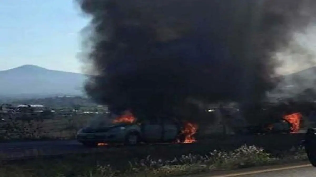 whatsapp_image_2016-09-06_at_7.15