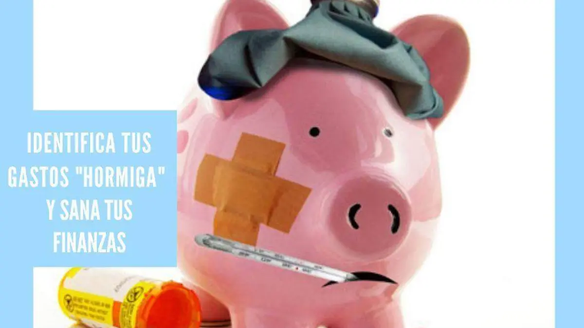 TIPS (51)