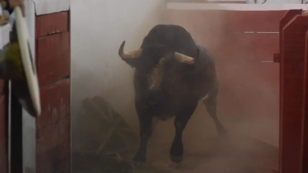EL TORO (1)