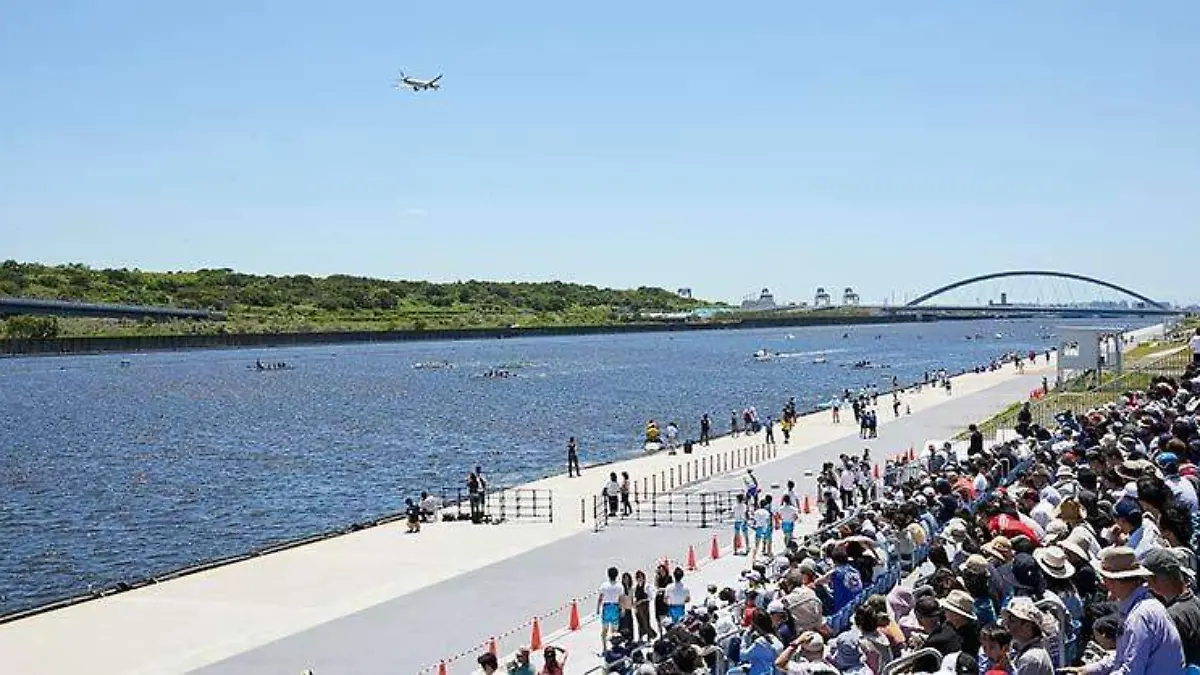 El Sea Forest Waterway